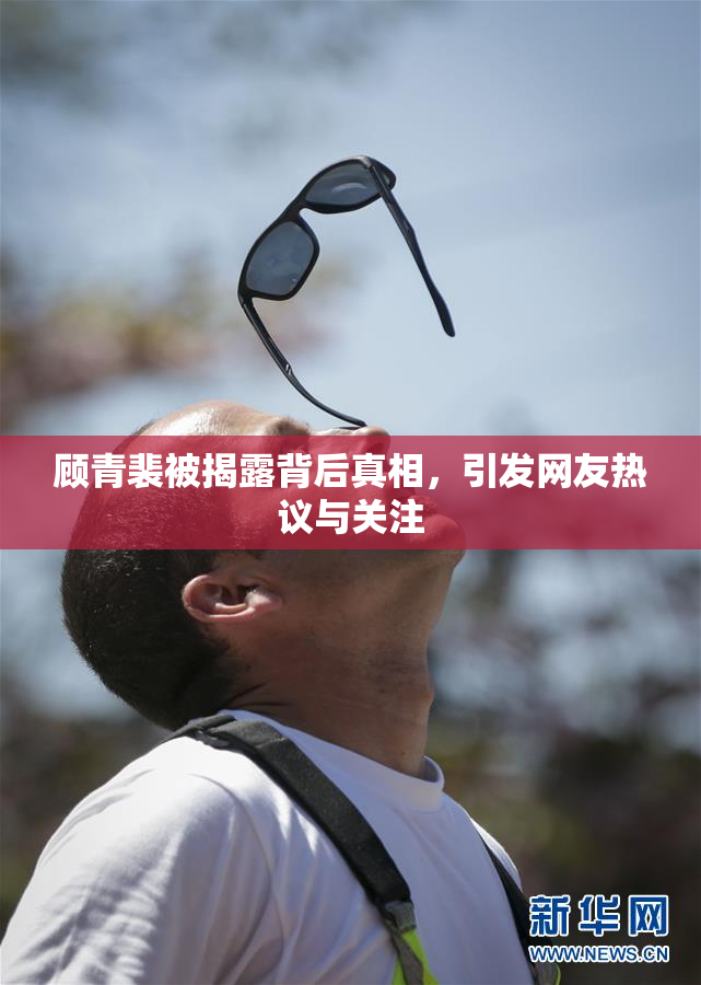 顾青裴被揭露背后真相，引发网友热议与关注