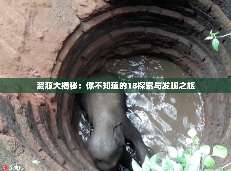 资源大揭秘：你不知道的18探索与发现之旅