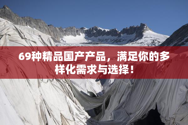 69种精品国产产品，满足你的多样化需求与选择！