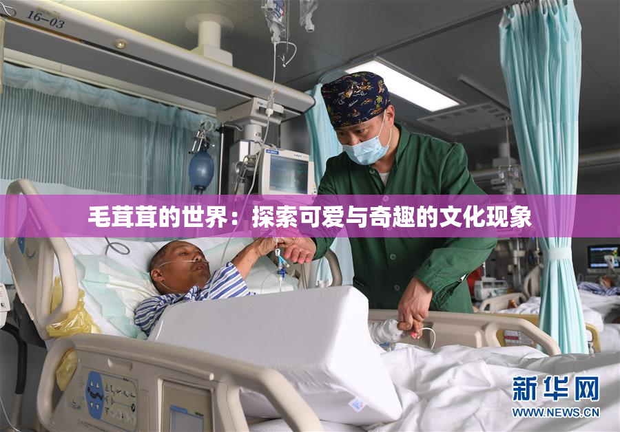 毛茸茸的世界：探索可爱与奇趣的文化现象