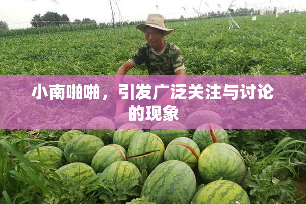 小南啪啪，引发广泛关注与讨论的现象