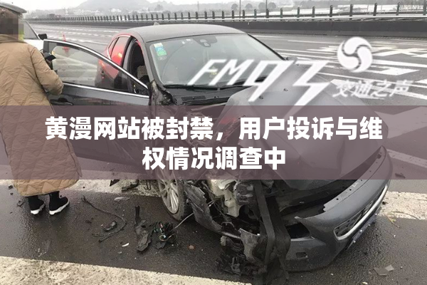 黄漫网站被封禁，用户投诉与维权情况调查中