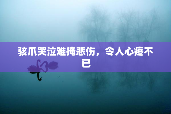 骇爪哭泣难掩悲伤，令人心疼不已