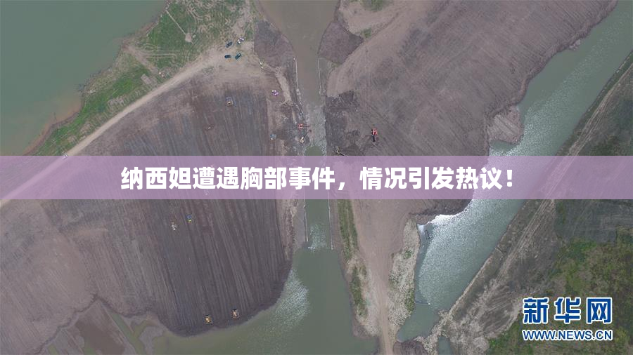 纳西妲遭遇胸部事件，情况引发热议！