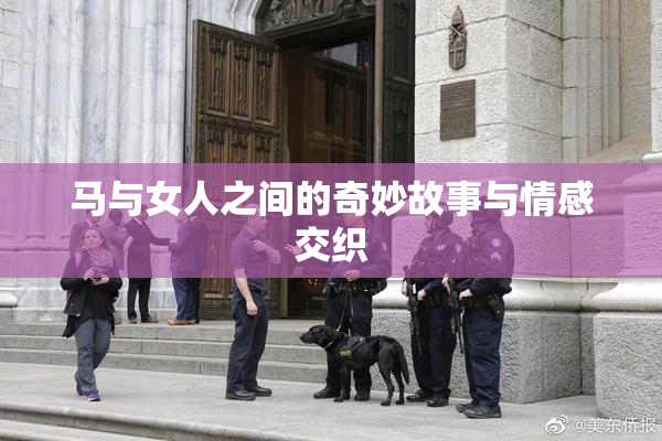 马与女人之间的奇妙故事与情感交织