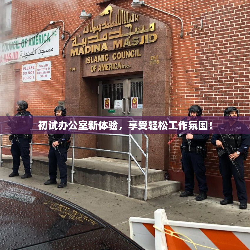 初试办公室新体验，享受轻松工作氛围！