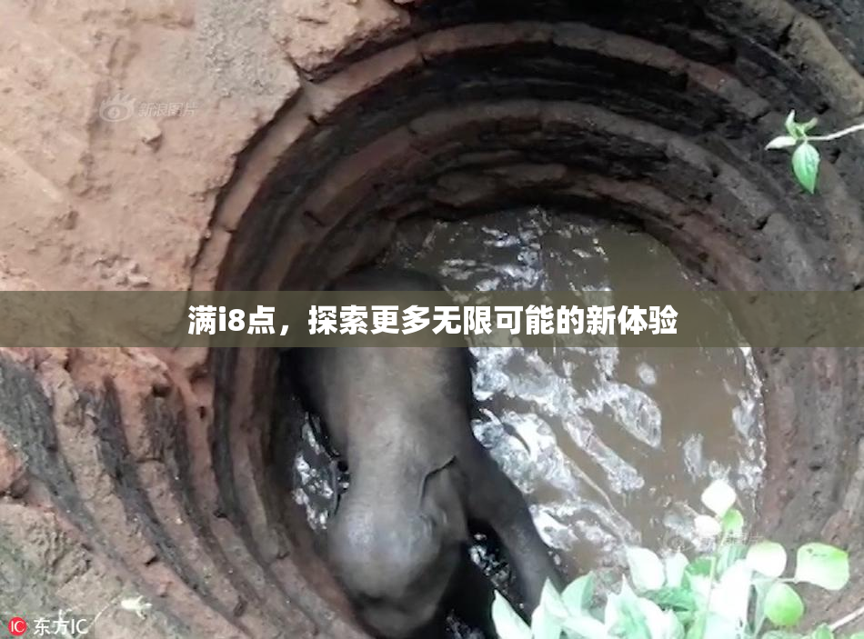满i8点，探索更多无限可能的新体验