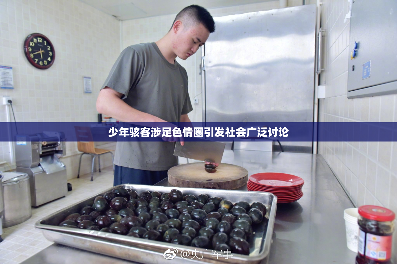 少年骇客涉足色情圈引发社会广泛讨论