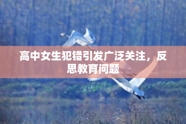 高中女生犯错引发广泛关注，反思教育问题