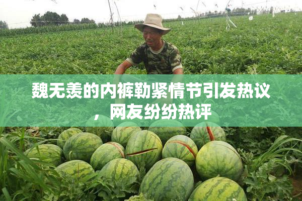 魏无羡的内裤勒紧情节引发热议，网友纷纷热评