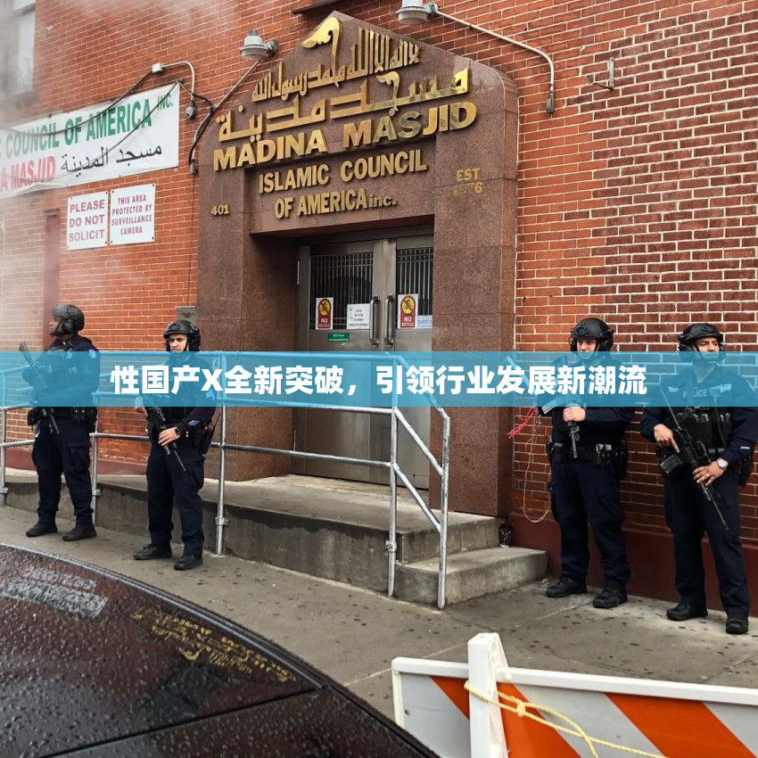 性国产X全新突破，引领行业发展新潮流