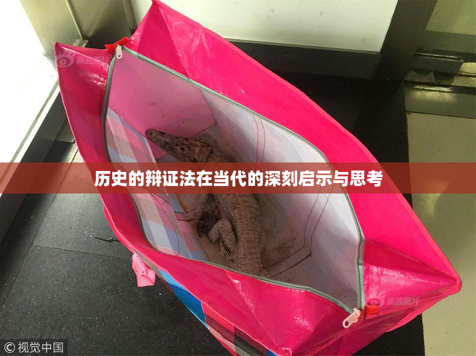 历史的辩证法在当代的深刻启示与思考
