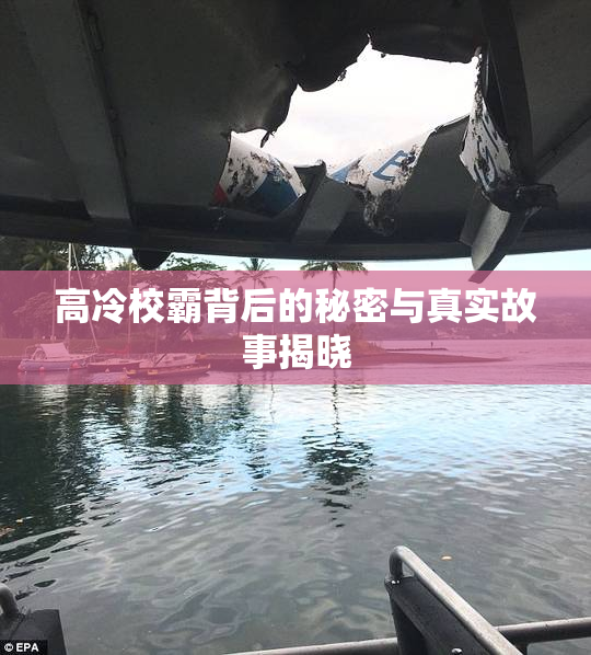 高冷校霸背后的秘密与真实故事揭晓