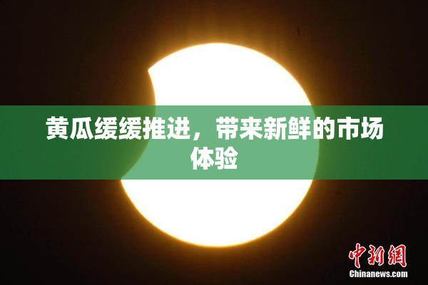 黄瓜缓缓推进，带来新鲜的市场体验