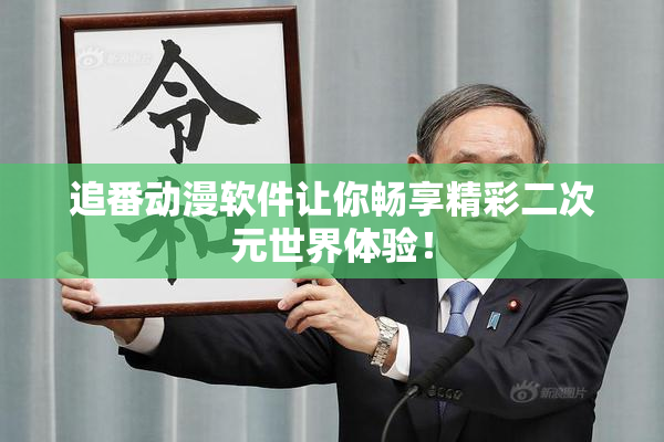 追番动漫软件让你畅享精彩二次元世界体验！