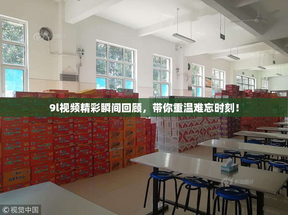 9l视频精彩瞬间回顾，带你重温难忘时刻！