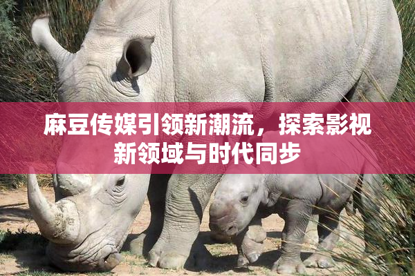 麻豆传媒引领新潮流，探索影视新领域与时代同步
