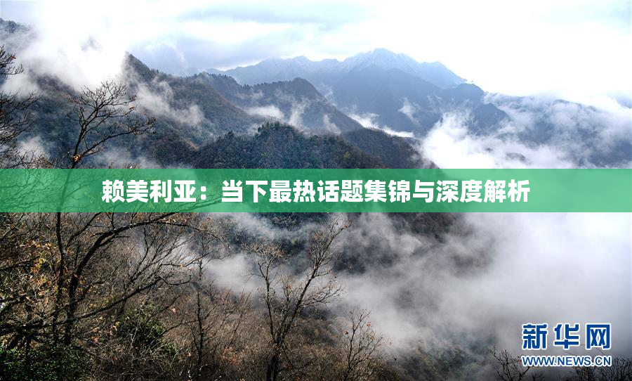 赖美利亚：当下最热话题集锦与深度解析