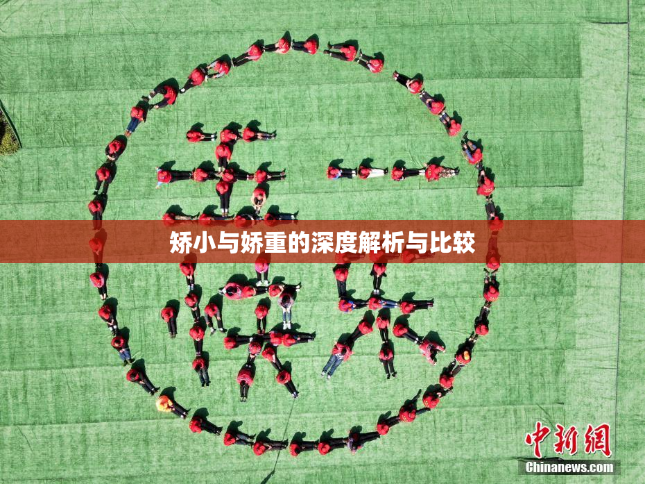 矫小与娇重的深度解析与比较
