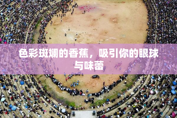 色彩斑斓的香蕉，吸引你的眼球与味蕾