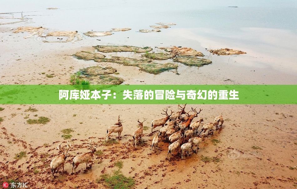 阿库娅本子：失落的冒险与奇幻的重生