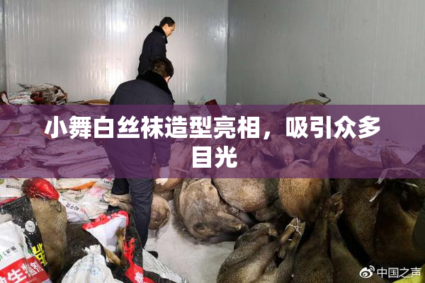小舞白丝袜造型亮相，吸引众多目光