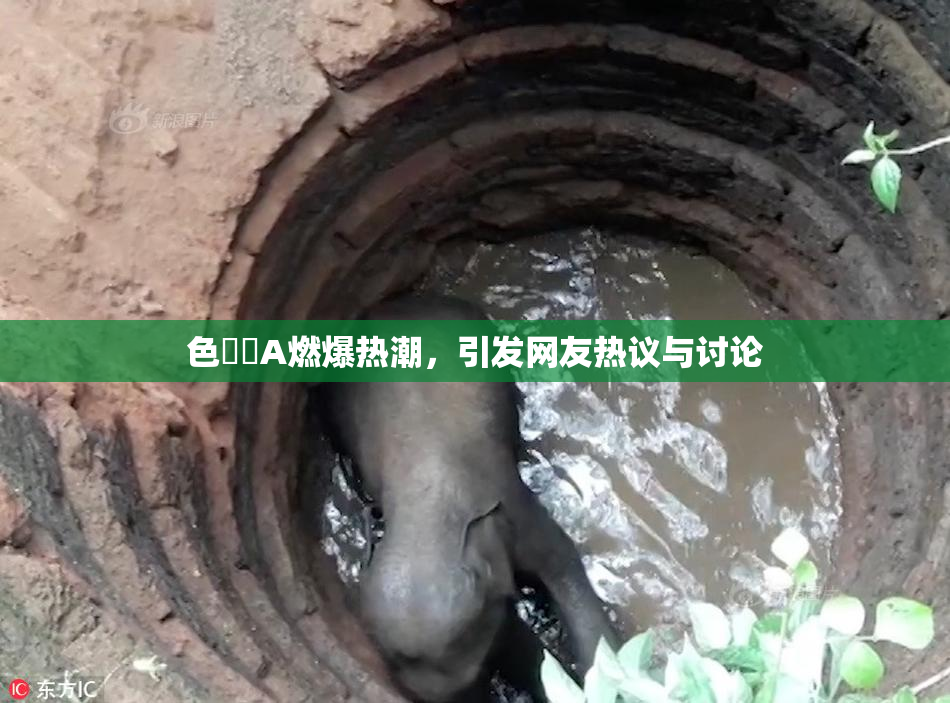 色妺妺A燃爆热潮，引发网友热议与讨论