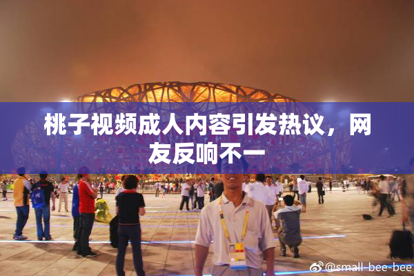 桃子视频成人内容引发热议，网友反响不一