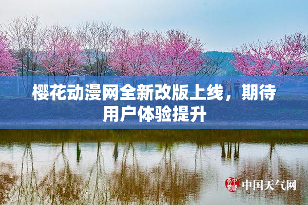 樱花动漫网全新改版上线，期待用户体验提升