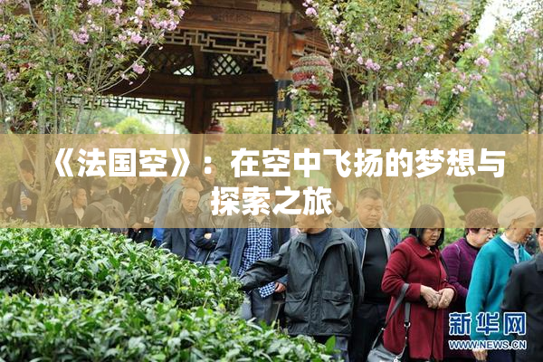 《法国空》：在空中飞扬的梦想与探索之旅