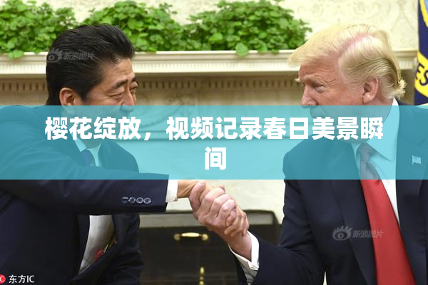 樱花绽放，视频记录春日美景瞬间