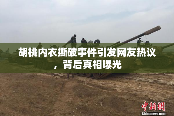 胡桃内衣撕破事件引发网友热议，背后真相曝光