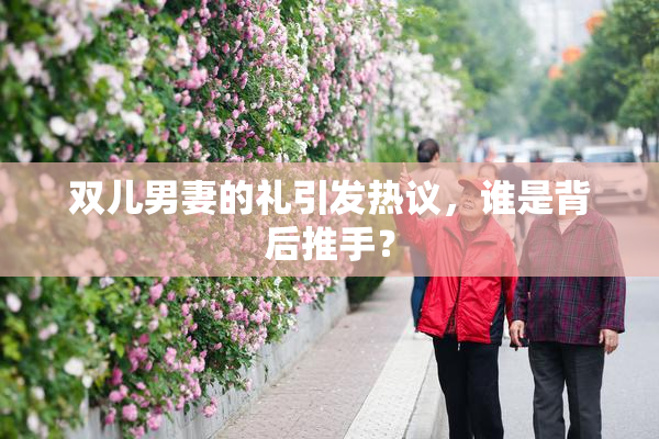 双儿男妻的礼引发热议，谁是背后推手？