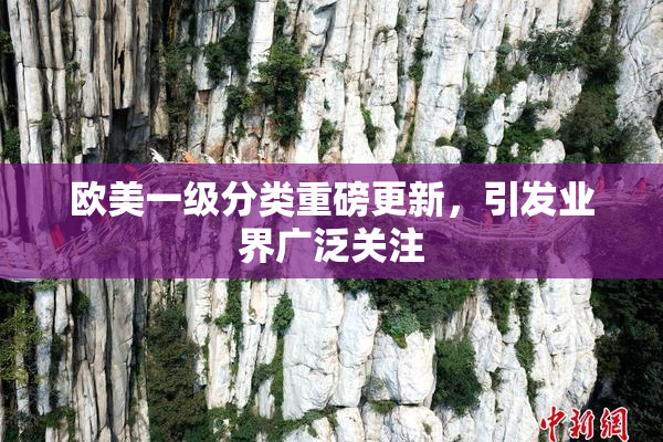 欧美一级分类重磅更新，引发业界广泛关注