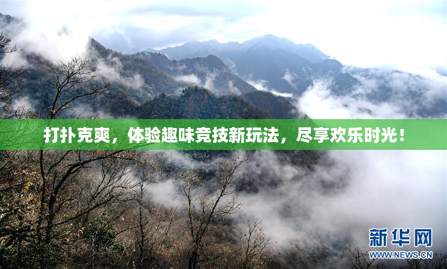 打扑克爽，体验趣味竞技新玩法，尽享欢乐时光！