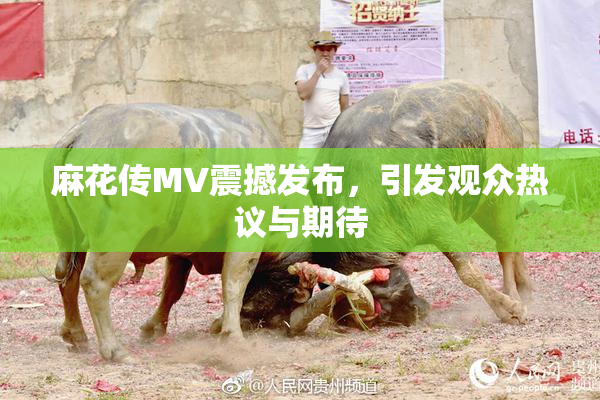 麻花传MV震撼发布，引发观众热议与期待