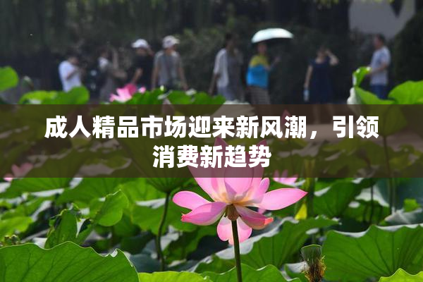 成人精品市场迎来新风潮，引领消费新趋势
