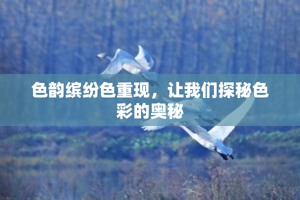 色韵缤纷色重现，让我们探秘色彩的奥秘