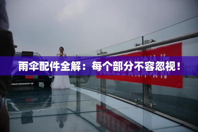 雨伞配件全解：每个部分不容忽视！