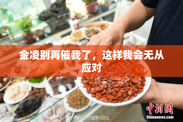 金凌别再催我了，这样我会无从应对