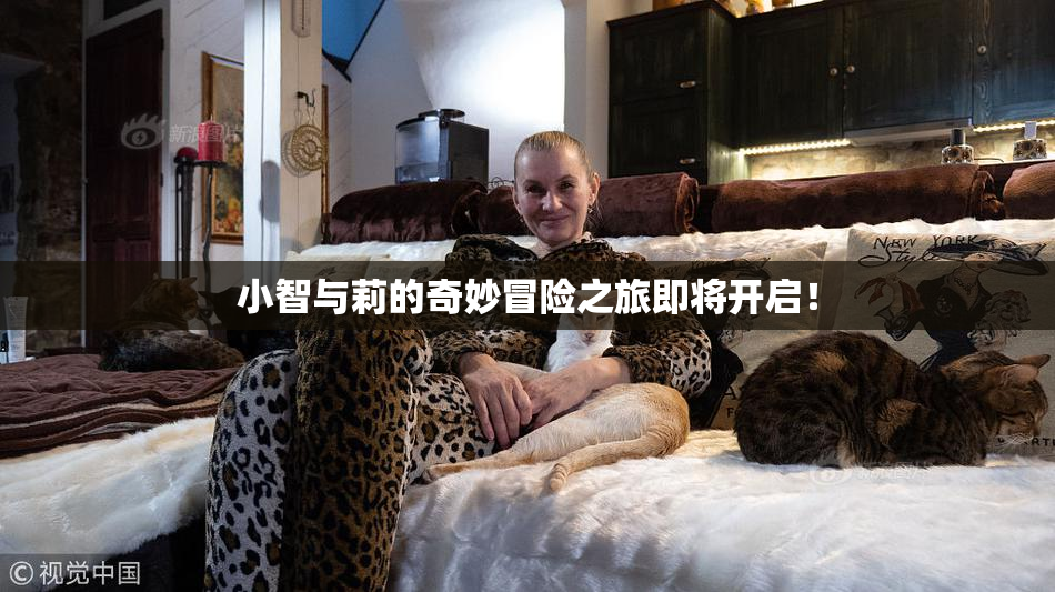 小智与莉的奇妙冒险之旅即将开启！
