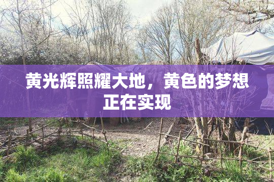 黄光辉照耀大地，黄色的梦想正在实现