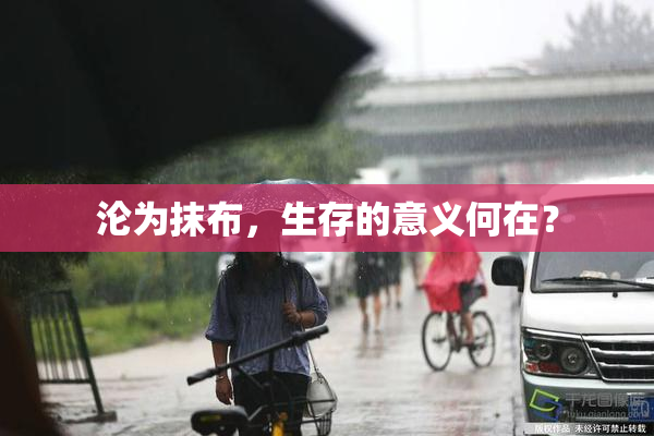 沦为抹布，生存的意义何在？