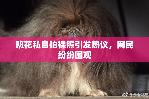 班花私自拍裸照引发热议，网民纷纷围观