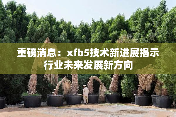 重磅消息：xfb5技术新进展揭示行业未来发展新方向