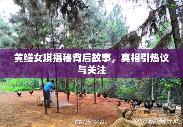 黄鳝女琪揭秘背后故事，真相引热议与关注