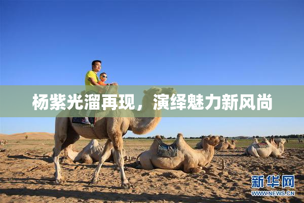 杨紫光溜再现，演绎魅力新风尚
