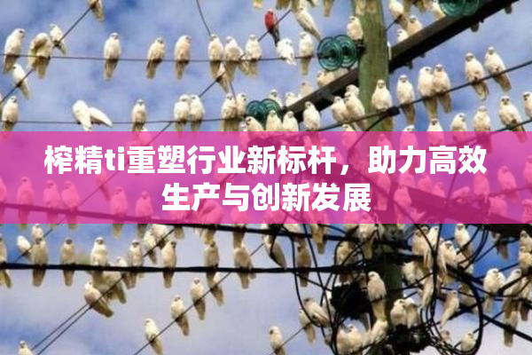 榨精ti重塑行业新标杆，助力高效生产与创新发展