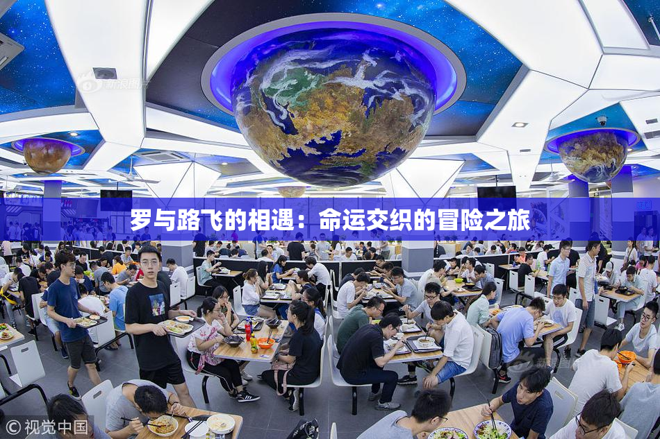罗与路飞的相遇：命运交织的冒险之旅