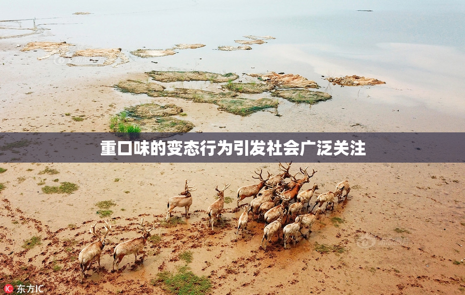 重口味的变态行为引发社会广泛关注